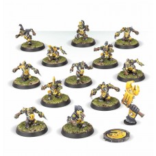 Blood Bowl: Goblin Team